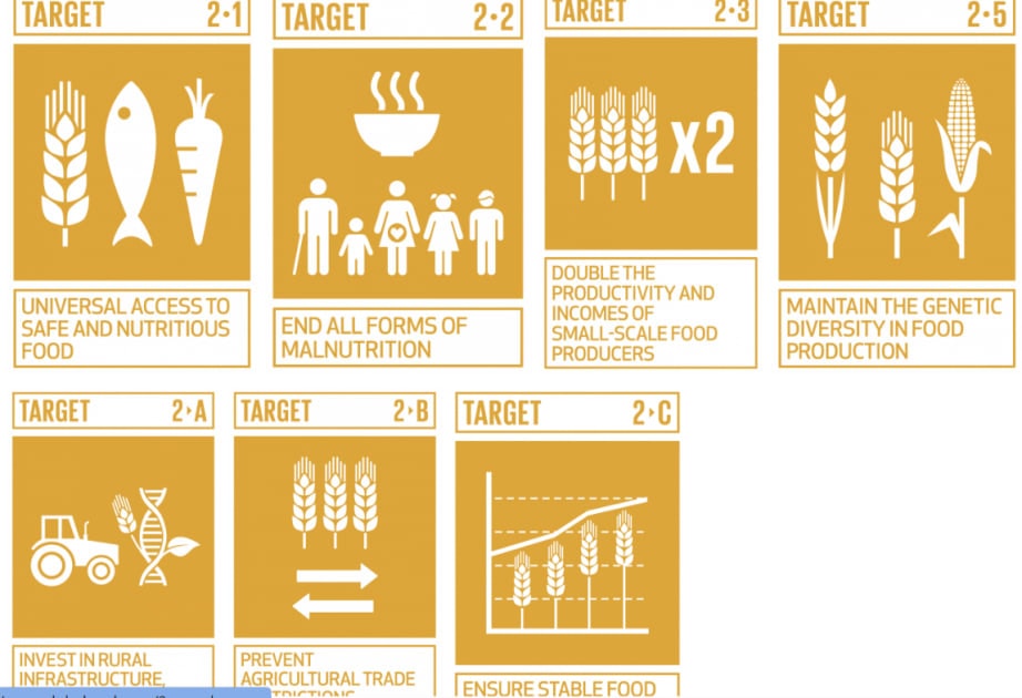 SDG 2 in Focus: Ending Hunger and Promoting Sustainable Food Systems