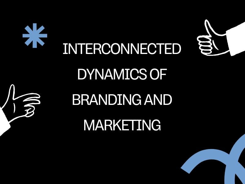 Purpose, Perception, and Performance: The Interconnected Dynamics of Branding and Marketing