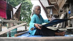 Village-Owned Enterprises Perspectives Towards Challenges and Opportunities in Rural Entrepreneurship: A Qualitative Study with Maxqda Tools