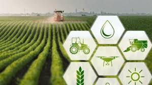 Harvesting Losses: An Autopsy of the Indian Agricultural Value Chain